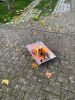 Feuer